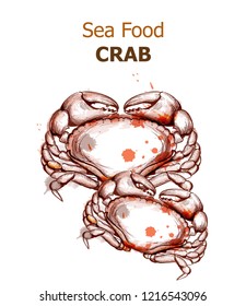 Menu card template crab Vector. Fresh seafood design line arts. Vintage spots