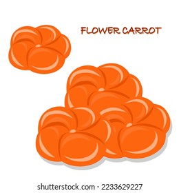 Menu carrot icon. Isometric of Wok menu carrot vector icon for web design. Flower carrot.