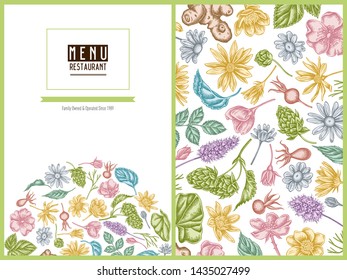 Menu cover floral design with pastel celandine, chamomile, dog rose, hop, jerusalem artichoke, peppermint