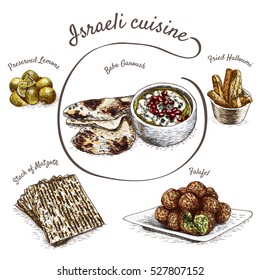 Menu of Israel colorful illustration. Vector illustration of indian cuisine.