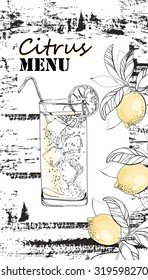 Menu for restaurant, cafe, bar with lemons.