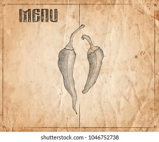 Menu of restaurant with hand drawn chilli pepper on the old paper background. Vector illustration
