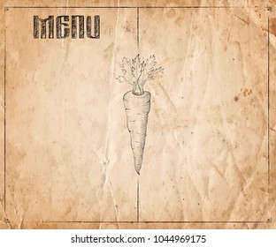 Menu of restaurant with hand drawn vegetables on the old paper background. Vector illustration