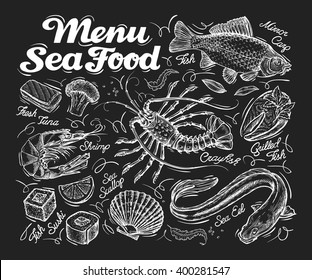 Menu seafood. Hand drawn fish carp, sea eel, scallops, shrimp, lobster, sushi. vector illustration