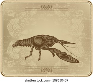 Menu with vintage frame and crayfish, hand drawing, vector.