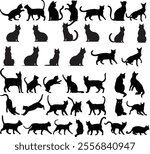 meow, cat line art, cat vector, cat design, meow tshirt design