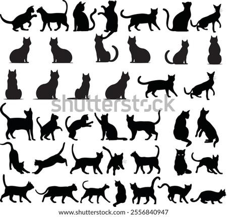 meow, cat line art, cat vector, cat design, meow tshirt design