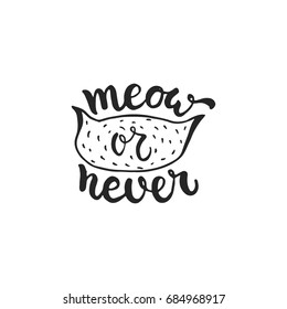 Meow or never - hand drawn dancing lettering quote isolated on the white background. Fun brush ink inscription for photo overlays, greeting card or t-shirt print, poster design