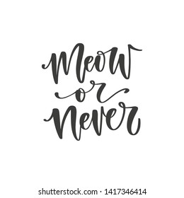 Meow or never hand drawn quote, isolated on white background. Handwritten cat phrase, vector banner, t-shirt design template