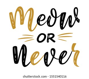 meow or never handwritten sign. Modern brush lettering. Cute slogan about cat. Cat lover. Textured phrase for poster design, postcard, t-shirt print or mug print. Vector isolated illustration