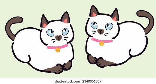 Meow Siamese Cats Cute, Twin Cats 