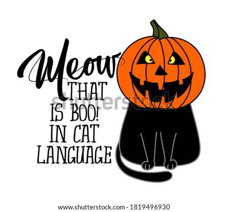 Meow, that is boo in cat language - funny quote design with cute black cat in pumpkin costume helmet. Adorable cat poster with lettering, good for t shirts, gifts, mugs or other pritable designs.