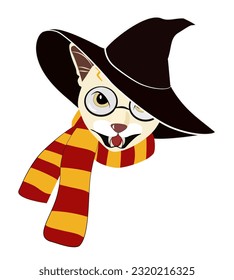 meowgical cat with glasses and scar on forehead