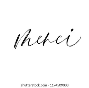 Merci phrase handwritten with a calligraphic brush. Thank you in French. Ink illustration. Modern brush calligraphy. Isolated on white background.