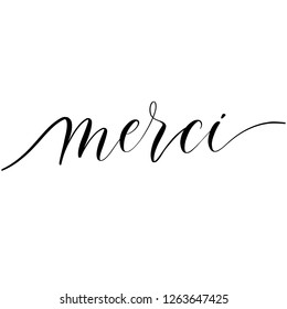 Merci Vector  handwritten lettering. Hand drawn brush style modern calligraphy.