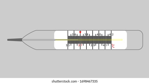 Mercury medical body thermometer. Vector illustration