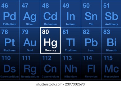 Mercury on periodic table of the elements. Known as quicksilver, a toxic heavy metal and chemical element, with symbol Hg for hydrargyrum and atomic number 80. Used in thermometers and dental amalgam.