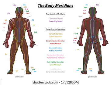 MERIDIAN SYSTEM CHART, black man, male body with labelled meridians - anterior and posterior view - Traditional Chinese Medicine.