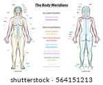 MERIDIAN SYSTEM CHART - Female body with principal and centerline acupuncture meridians - anterior and posterior view - Traditional Chinese Medicine.
