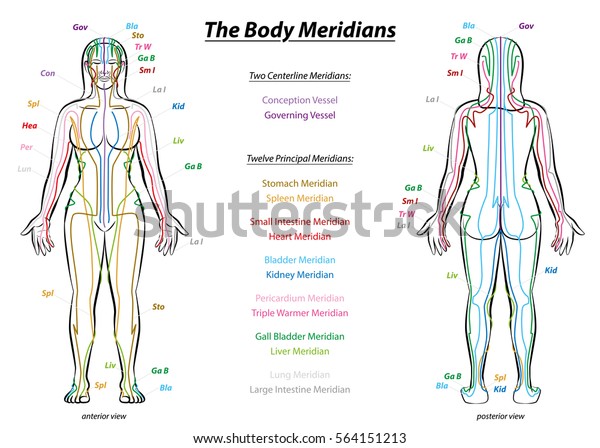 Full Body Acupuncture Chart