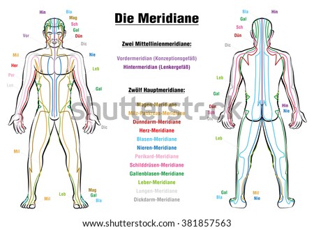 Meridian System Chart - GERMAN LABELING!- Male body with acupuncture meridians, anterior and posterior view.