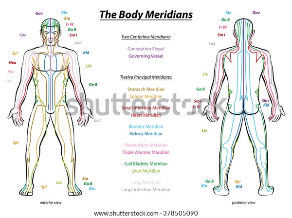 Meridian Chart Of The Human Body