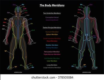 Meridian System Description Chart Meridian system chart of TCM (Traditional Chinese Medicine). Isolated vector illustration on black background.
