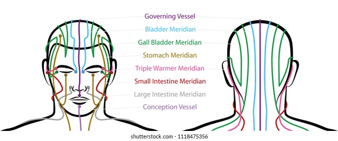 Acupuncture Meridian Chart
