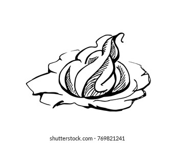 Meringues,hand drawn, graphics illustration