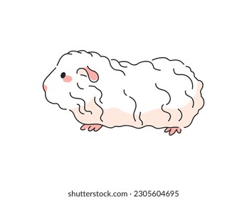 Merino Guinea Pig Cartoon Vector Illustration. Isolated icon on white background.