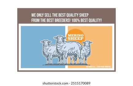 cartaz de criação de gado ovino merino, melhor design de desenho para ilustrações de vetor de carneiro agrícola