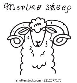 Merino sheep head. Hand drawn outline vector illustration on white background.
