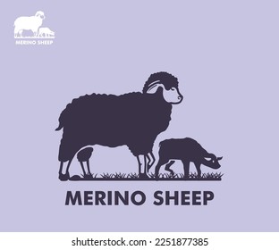 MERINO SHEEP LOGO, silhouette of great sheep with her son vector illustrations