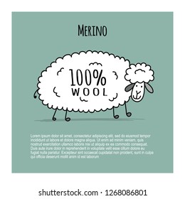 Merino sheep, sketch for your design