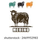 merino sheep standing at farm, silhouette of great sheep walking ii field vector illustrations