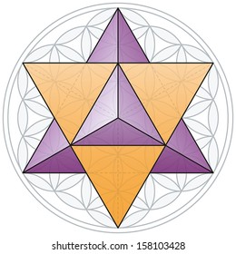 The Merkaba, a double tetrahedron, fits in the Flower of Life, a geometrical figure, composed of multiple evenly-spaced, overlapping circles forming a flower-like pattern with a symmetrical structure