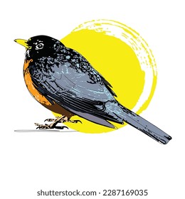 Merle bird Silhouette Vector, Clipart Images