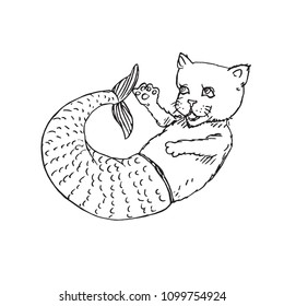 Mermaid cat, hand drawn outline doodle sketch, black and white vector illustration