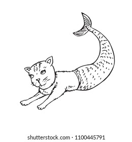 Mermaid cat, hand drawn outline doodle sketch, black and white vector illustration