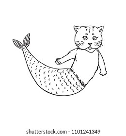 Mermaid cat, hand drawn outline doodle sketch, black and white vector illustration