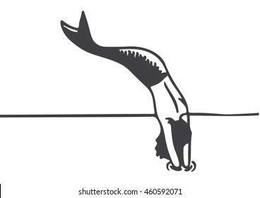 mermaid dives into the sea