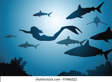 The mermaid and flight of sharks float among reeves