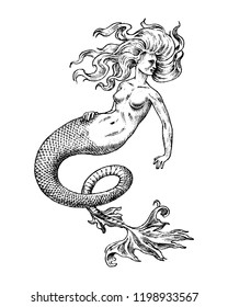 Mermaid woman. Sea siren. Antique Mythical Greek monster. Mythological animal. Ocean symbol. Fantastic creatures in the old vintage style tattoo. Engraved hand drawn old sketch.