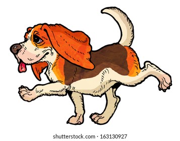 Merry beagle with long ears runs a walk. From a series of images of funny dogs.