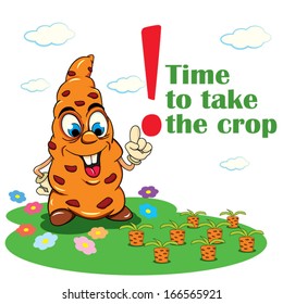 Merry carrot that on bed takes the crop