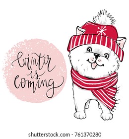 Merry Christmas 2018 illustration with funny dog. Hand drawn vector Pomeranian Spitz puppy. Happy New Year collection. Winter design. Happy holidays card. Cartoon animals. 