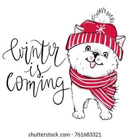 Merry Christmas 2018 illustration with funny dog. Hand drawn vector Pomeranian Spitz puppy. Happy New Year collection. Winter design. Happy holidays card. Cartoon animals. 