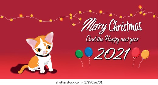 Merry Christmas 2020 and the Happy new year 2021 - Amber Cat