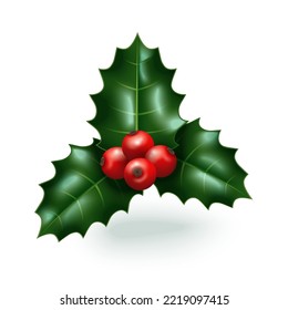 Merry Christmas 3d icon of holly ilex branch with berry and leaves, mistletoe sprig. Vector illustration. Traditional Xmas bouquet. Voucher design, santa greeting card, poster invitation decor