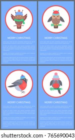 Merry Christmas 60s congratulation postcard with bullfinch and owl dressed in knitted clothes. Vector illustration with winter birds on blue